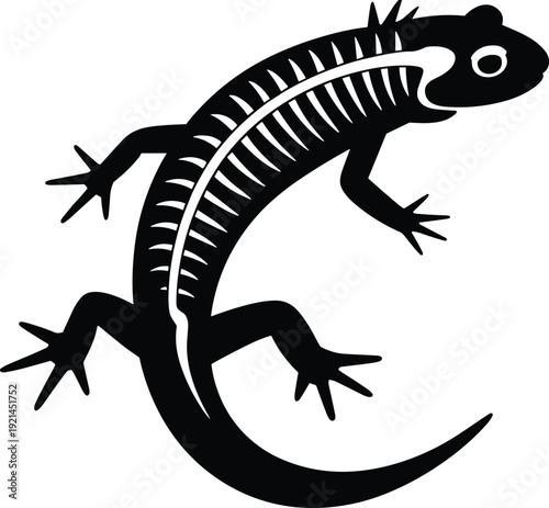 Salamander lizard skeleton silhouette illustration, reptile anatomy icon, black vector animal design isolated on white background graphic, minimal flat style