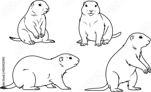 Group of prairie dogs sitting and lying down, detailed outline vector illustration of rodents
