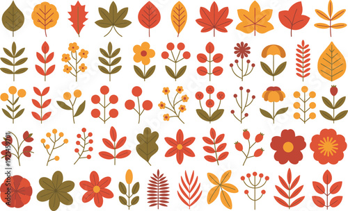 Set of autumn leaves flowers and berries vector illustrations on transparent background
