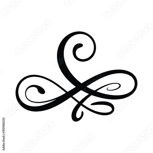 Elegant black flourish design resembling an ampersand symbol