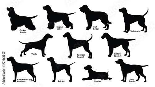 A vector file with text on a white background