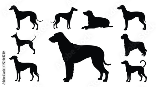 A vector file with a simple text label