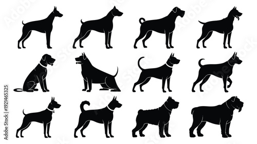 A vector file with text on a white background