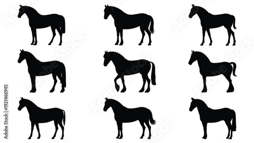 A vector file with text on a white background