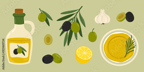 Olive set with black and green olives, tree branches, bottle of olive oil, plate with rosemary oil, garlic and lemon. Mediterranean food great for culinary, health projects. Flat vector illustration.