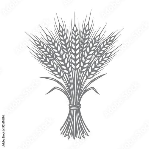Monochromatic Bundle of Wheat Sheaves