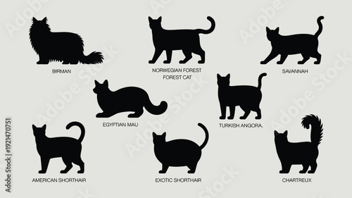 A vector file with text on a white background