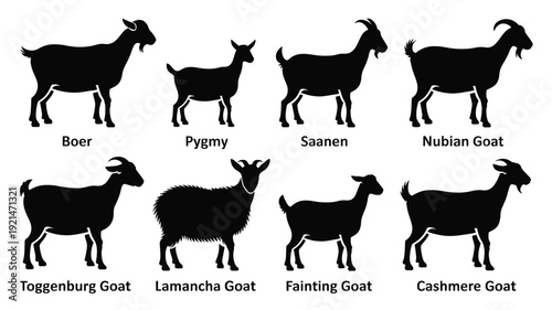 A vector file with text on a white background