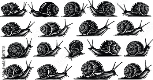 Snail silhouettes collection, shell pattern vector, animal illustration set, nature design artwork, wildlife icon series - flat vector illustration