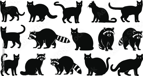 Black Silhouette Collection of Domestic Cats and Wild Raccoons in Various Poses Including Sitting Standing and Walking Isolated on White Background for Animal Graphic Design