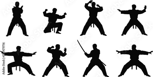Set of Black Martial Arts Silhouettes Including Karate Poses Kung Fu Stances and Samurai Sword Fighting Isolated on White Background for Sports and Fitness Design