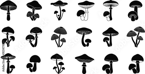 Set of Black Mushroom Silhouettes Including Various Fungus Species and Toadstool Shapes Isolated on White Background for Nature Foraging Autumn Design and Vector Illustration