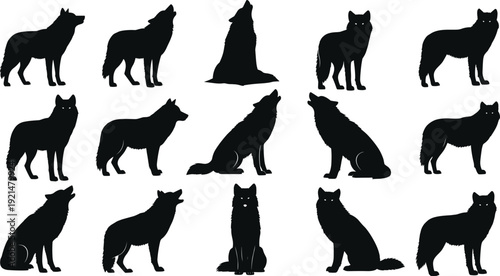 Set of Black Wolf Silhouettes Including Howling and Standing Poses Isolated on White Background for Wildlife Nature Design Wilderness Graphics and Silhouette Vector Illustration
