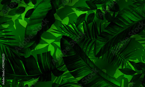 Tropical jungle leaves background. nature green background.