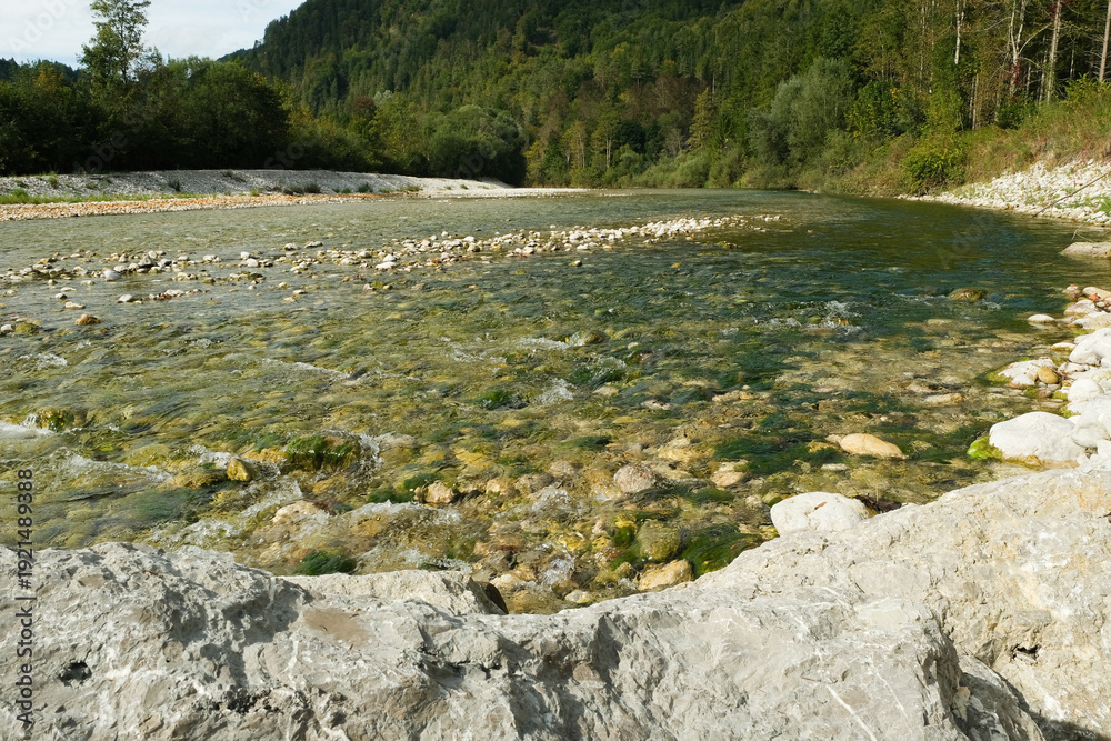 Fototapeta premium Clear Shallow River Water Flowing Over Rocks and Stones
