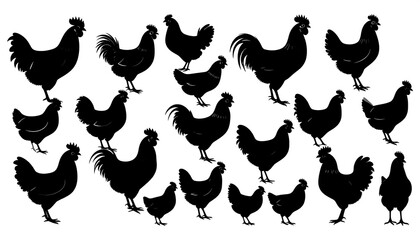 Various silhouettes of chickens and roosters facing in different directions on a white background