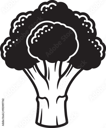A detailed black and white illustration of a broccoli head with florets and stem viewed from the front