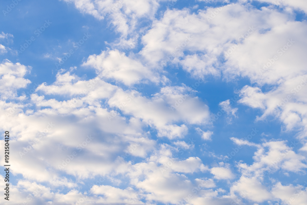 Fototapeta premium Beautiful Fluffy White Clouds on a Bright Blue Sky Background,A serene and wide-angle shot of soft, white cumulus clouds scattered across a clear, vibrant blue sky. This peaceful atmosphere.