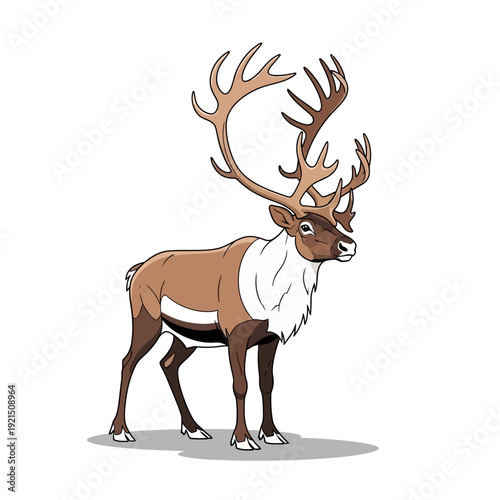 Majestic Caribou with Large Antlers, Vector Illustration