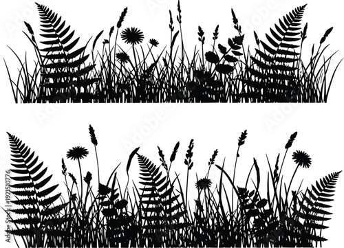 Set of wild meadow grass silhouettes featuring forest ferns, field flowers, and prairie herbs for nature landscape design and garden borders,