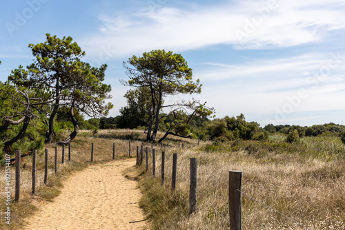Sables d'Olones  France