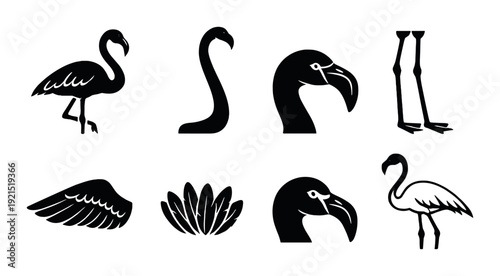 Flamingo icons and body parts arranged on dark gradient background