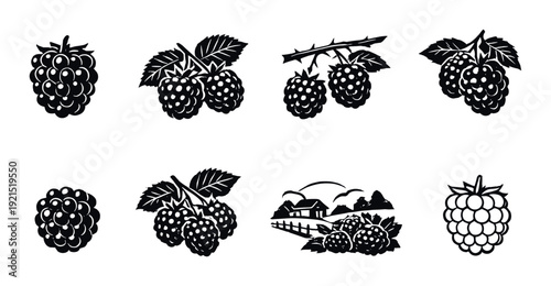 Blackberry illustrations arranged in two rows on gradient background