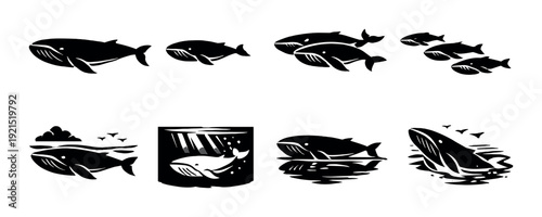 Whales swimming in groups and individual poses on gradient background