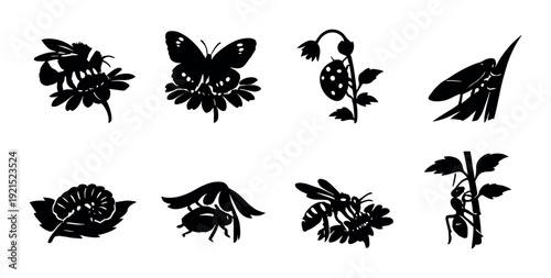 Various insect silhouettes on leaves and flowers against dark background