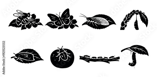 Different insects and life stages on leaves and flowers display on dark background