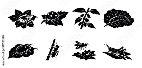 Insect and bug icons on leaves and flowers on dark background