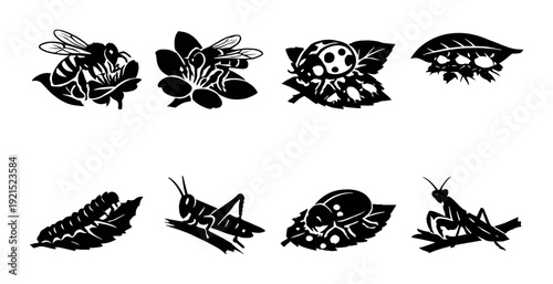 Various insects on leaves and flowers arranged on dark background