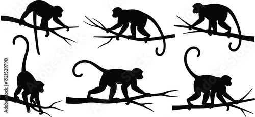 Vector illustration set of monkey silhouettes on tree branches with dynamic poses, naturalistic style, decorative motifs
