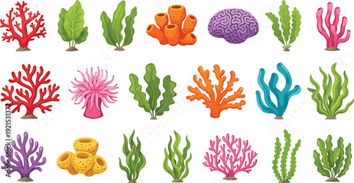 Coral And Seaweed Collection Underwater Marine Life Vector Illustration Set