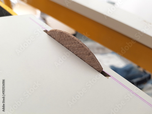 Compressed beech wood biscuit joiner