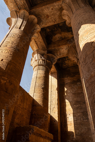 Quadro su tela Colossal Sandstone Columns with Floral Capitals and Hieroglyphs in a Hypostyle H