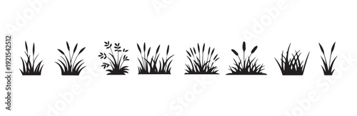 Set of grass silhouettes, various types of green vegetation, natural landscape elements