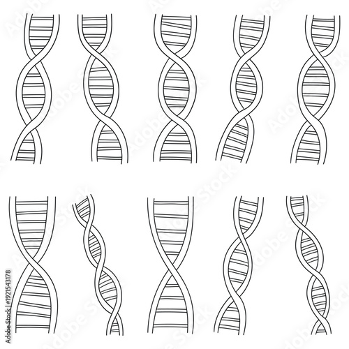 Hand-drawn doodle set of DNA on a white background.