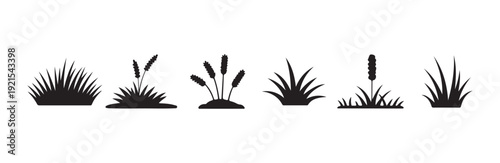 Meadow plants silhouettes set of different grass types and wheat stalks for nature design