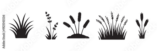 Floral and herbal silhouettes set of wild grass bushes and wheat stalks for garden design