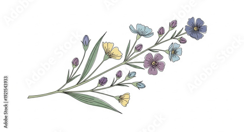 Watercolor Wildflowers on White Background.
