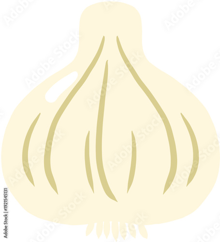 garlic vector illustration