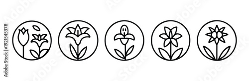 Spring flowers linear icons set, simple garden flower logos, nature plant symbols, floral design