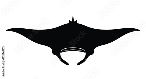Silhouette of a manta ray gracefully swimming in the ocean depths