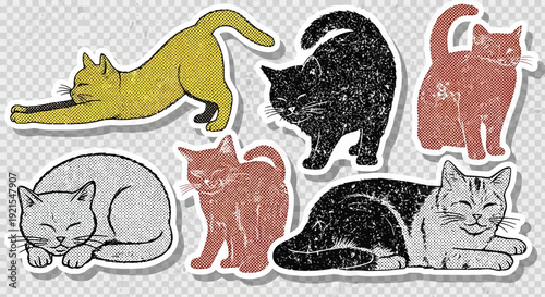 Cat stickers set, cute cat illustrations, animal art, funny cats