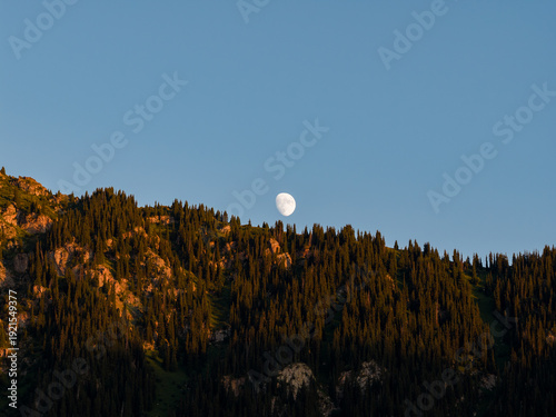 Fényképezés Large moon rising above a dark evergreen forest ridge at twilight
