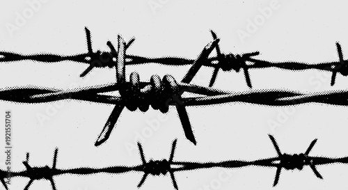 barbed wire, security, danger, metal spikes, fence, protection, close up