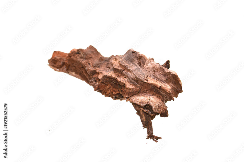 Fototapeta premium tree bark isolated on white background