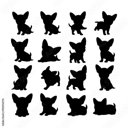 Multiple silhouettes of playful chihuahuas in various poses on a white background