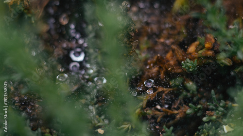 Morning dew drops on a spider's web